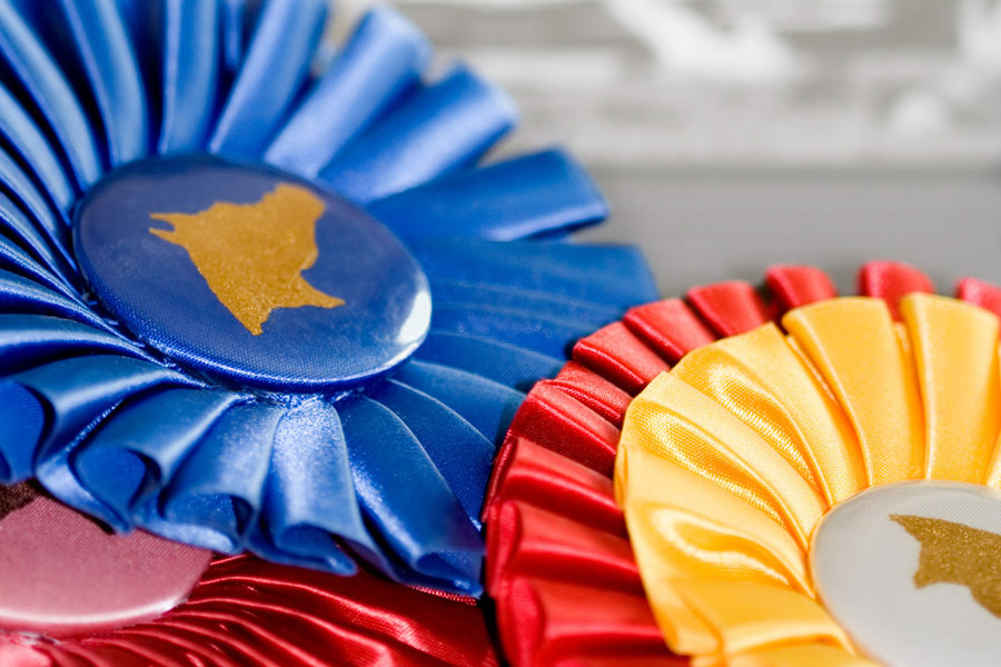 7 Horse Show Awards That Require a Trophy