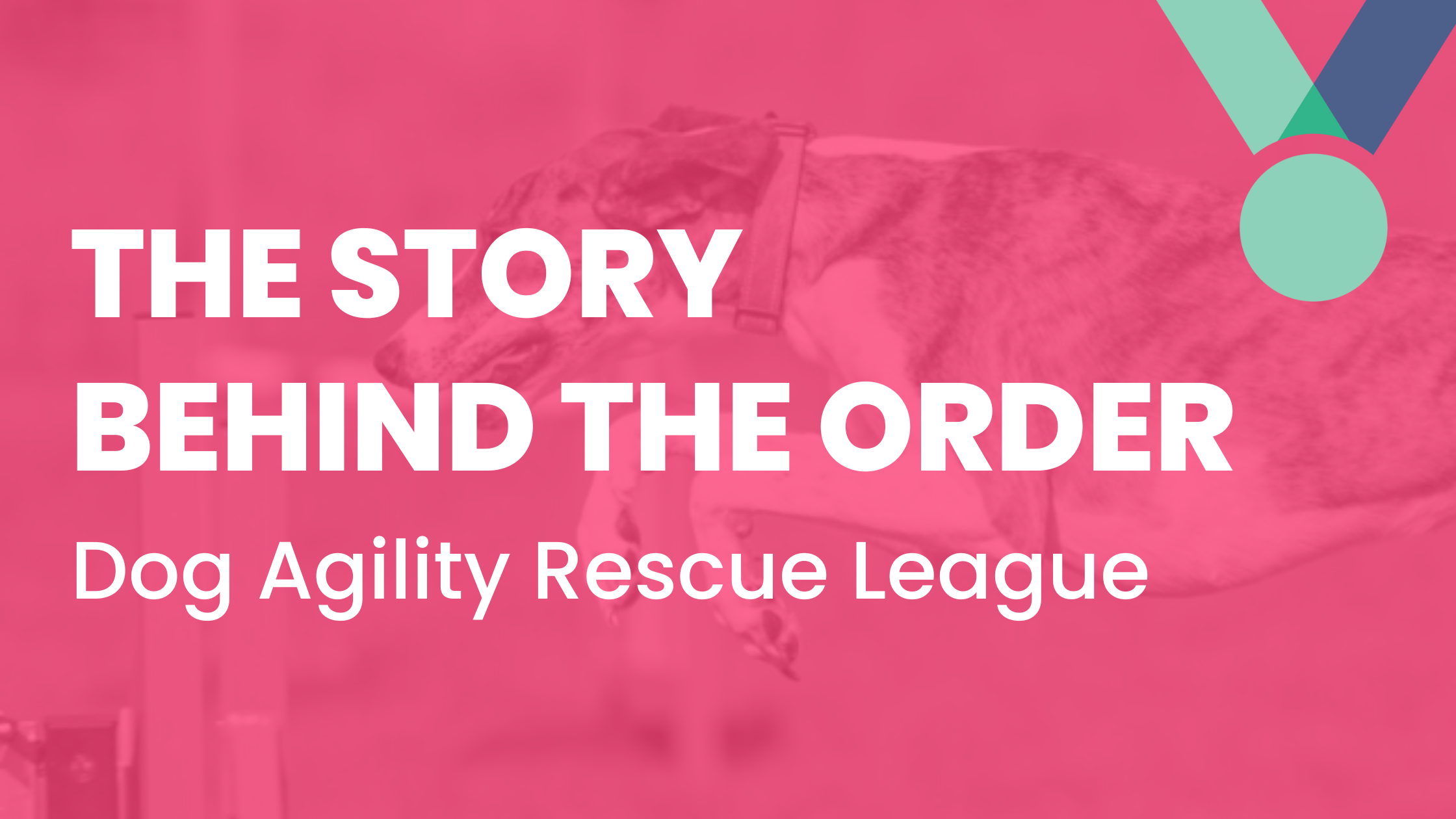 The Story Behind The Order - Dog Agility Rescue League