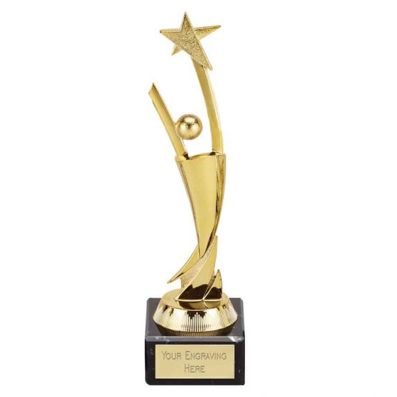 "Attendance Award Trophy Schools Clubs   " FREE ENGRAVING" 